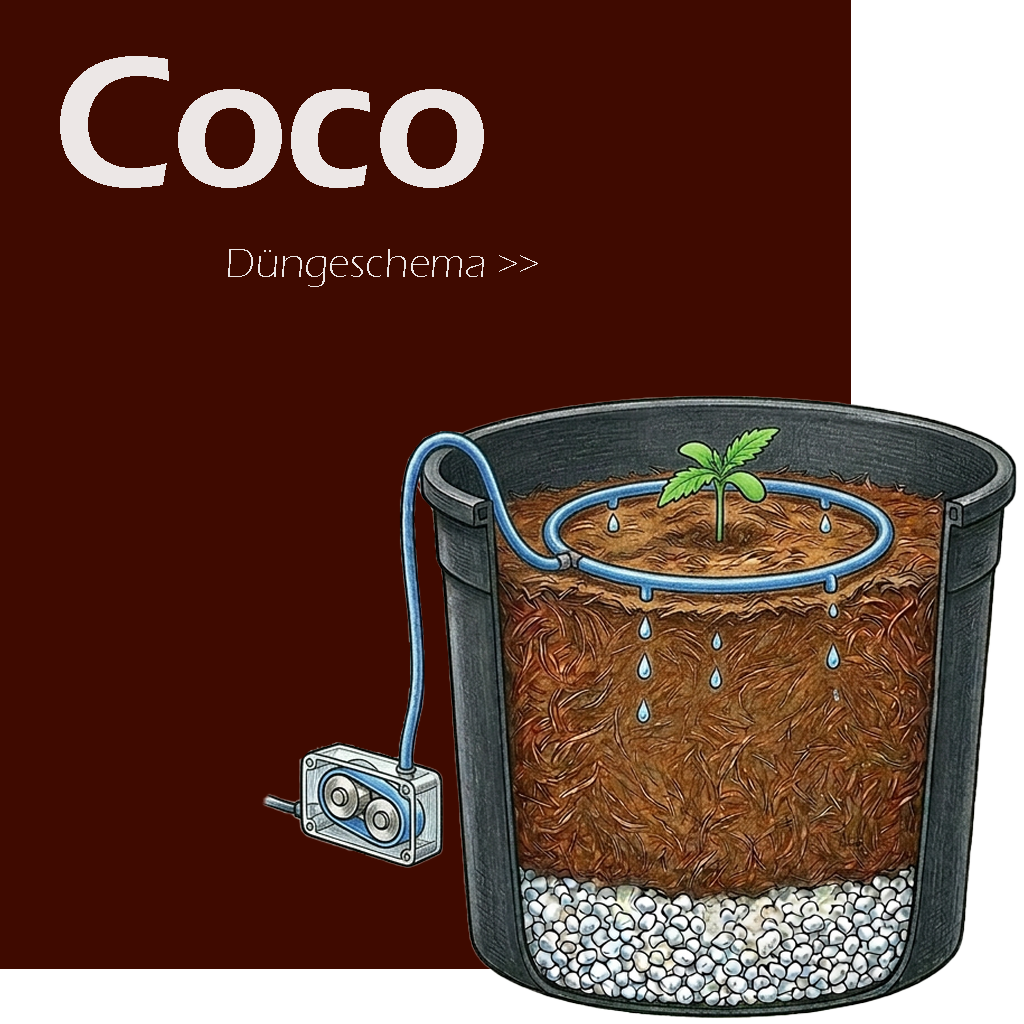 Düngeplan Kokos – Coco Grow, Bloom & Micro Wochenplan ansehen