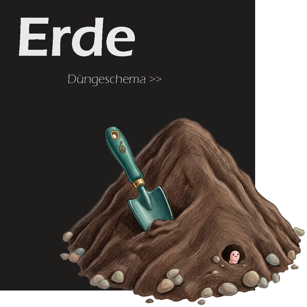 Düngeplan Erde – Wochenplan von Grow bis Ernte ansehen